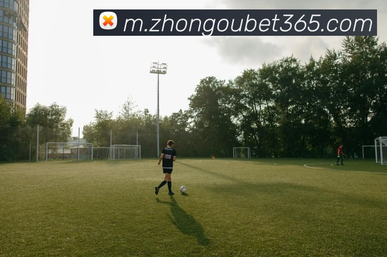 奖项图2